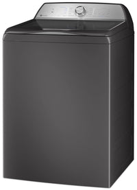 GE Profile 5.8 Cu. Ft. Top-Load Washer with Built-In Wi-Fi - PTW600BPRDG