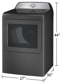 GE Profile 7.4 Cu. Ft. Electric Dryer with Built-In Wi-Fi - PTD60EBMRDG
