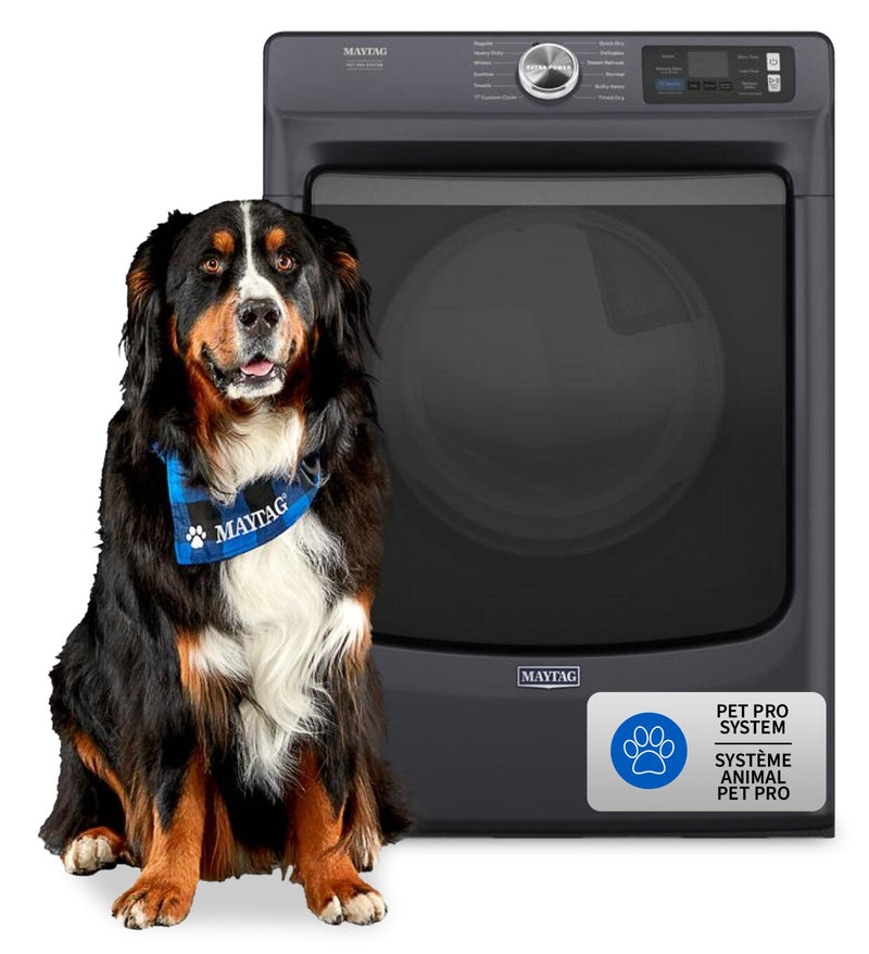 Maytag 7.4 Cu. Ft. Pet Pro Smart Electric Dryer - Midnight Steel - YMED7020RF  | Sécheuse électrique intelligente Pet Pro de 7,4 pi3 de Maytag - acier minuit - YMED7020RF  | YMED7020