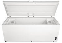 Frigidaire 24.8 Cu. Ft. Chest Freezer - FFCL2542AW 