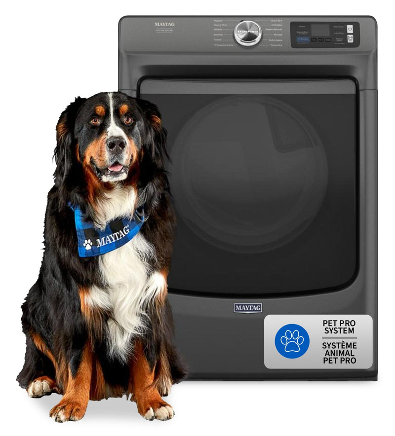 Maytag 7.4 Cu. Ft. Pet Pro Smart Gas Dryer - Volcano Black - MGD7020RU | Sécheuse à gaz intelligente Pet Pro de 7,4 pi3 de Maytag - noir volcan - MGD7020RU | MGD7020U