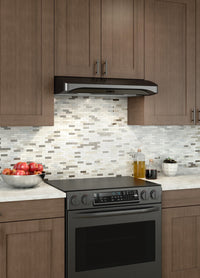 Broan Elite Alta 30" Under-Cabinet Range Hood - ALT230BLS 